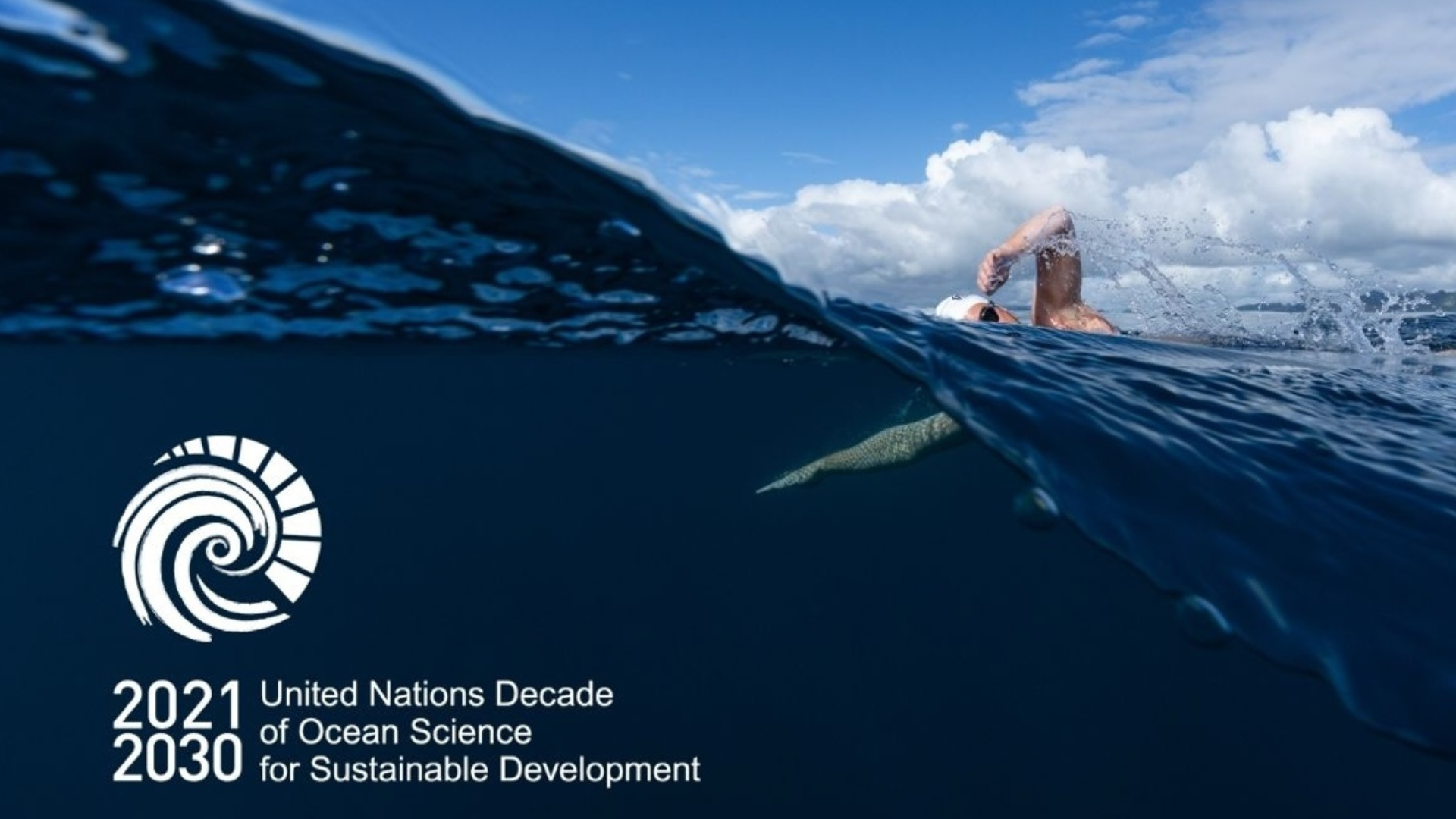Global Endorsement for Swim4TheOcean | Live Ocean